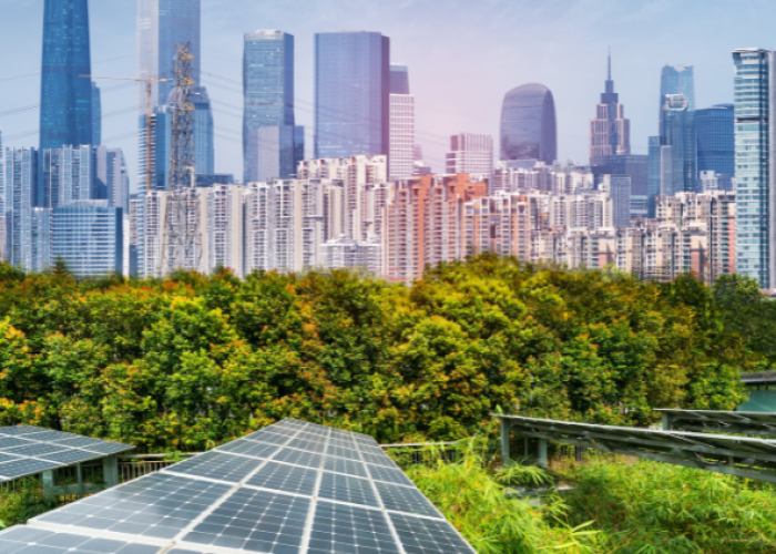 Maestría en Desarrollo Energético Sostenible